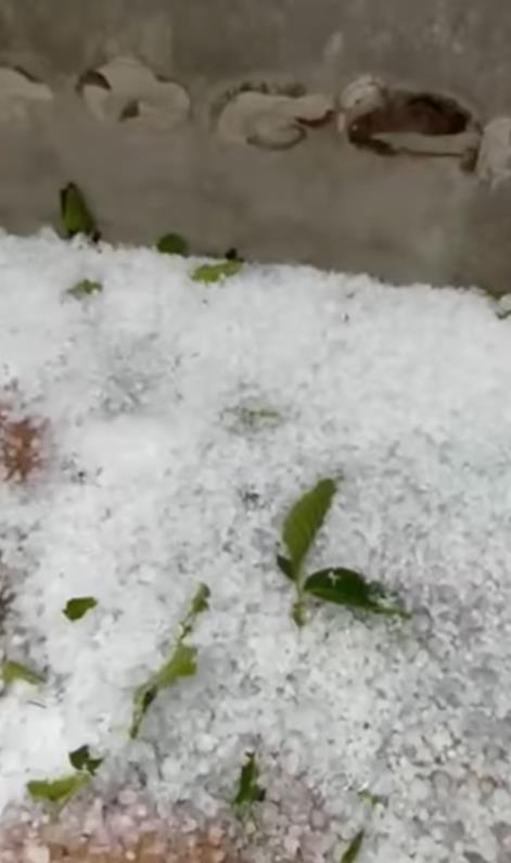 Screenshot 2025-07-08 125856.png