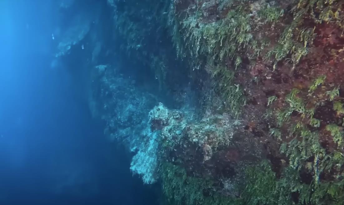 Screenshot 2025-07-08 125602.png