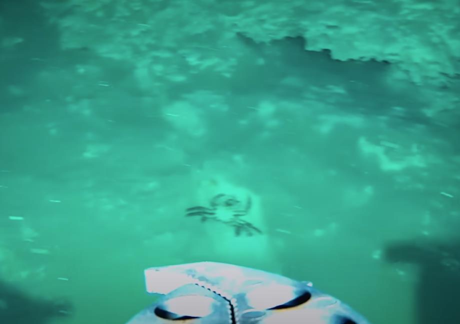 Screenshot 2025-07-08 125651.png