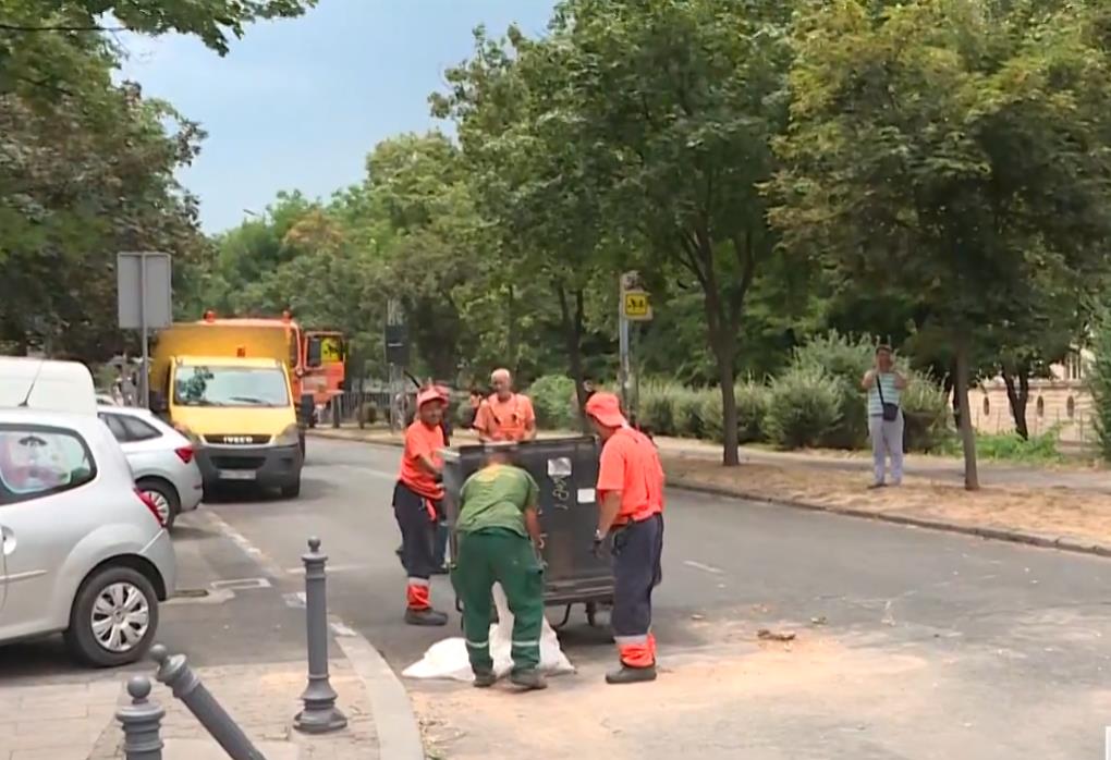 Screenshot 2025-07-08 130704.jpg