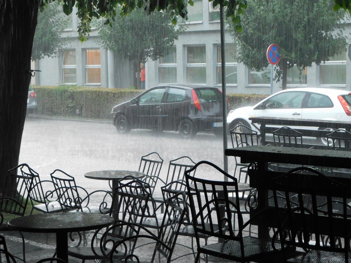 LOZNICA - Ispraznila bašte.JPG