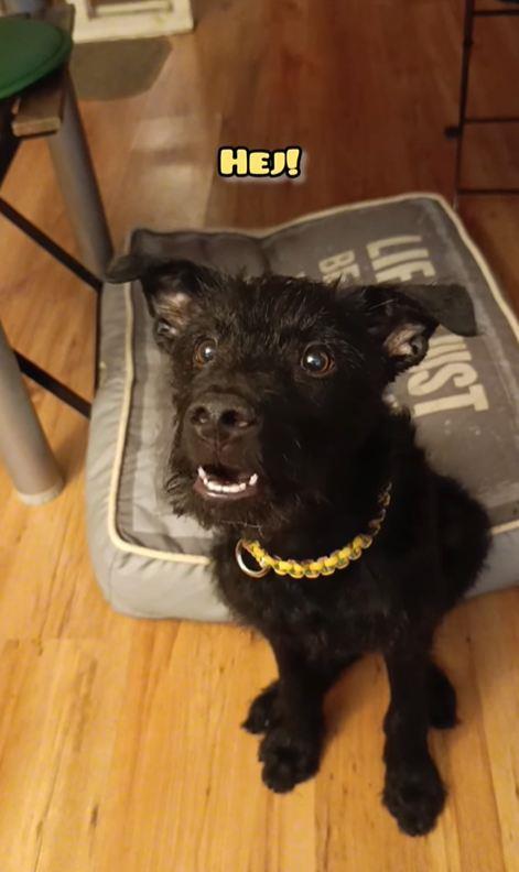 2025-07-09 10_33_44-Instagram.jpg