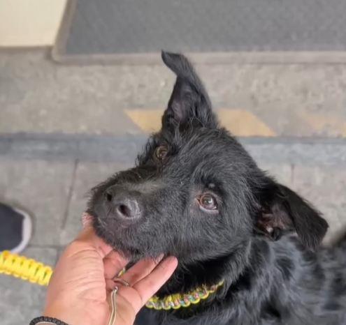 2025-07-09 10_34_24-Instagram.jpg