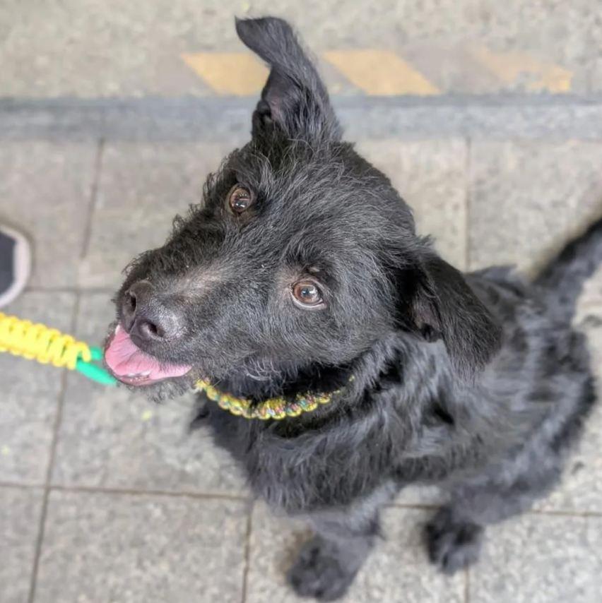 2025-07-09 10_35_03-Instagram.jpg