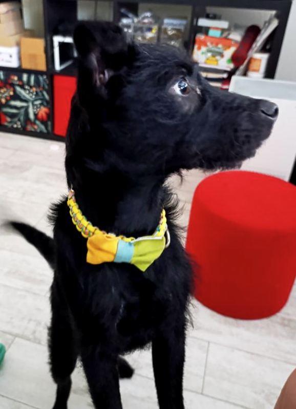 2025-07-09 10_42_50-Пријемно сандуче • Ћаскања.jpg