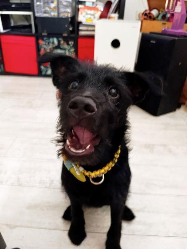 2025-07-09 10_42_55-Пријемно сандуче • Ћаскања.jpg