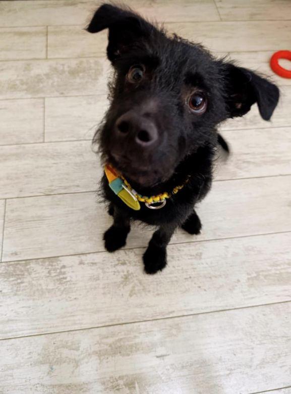 2025-07-09 10_43_04-Пријемно сандуче • Ћаскања.jpg