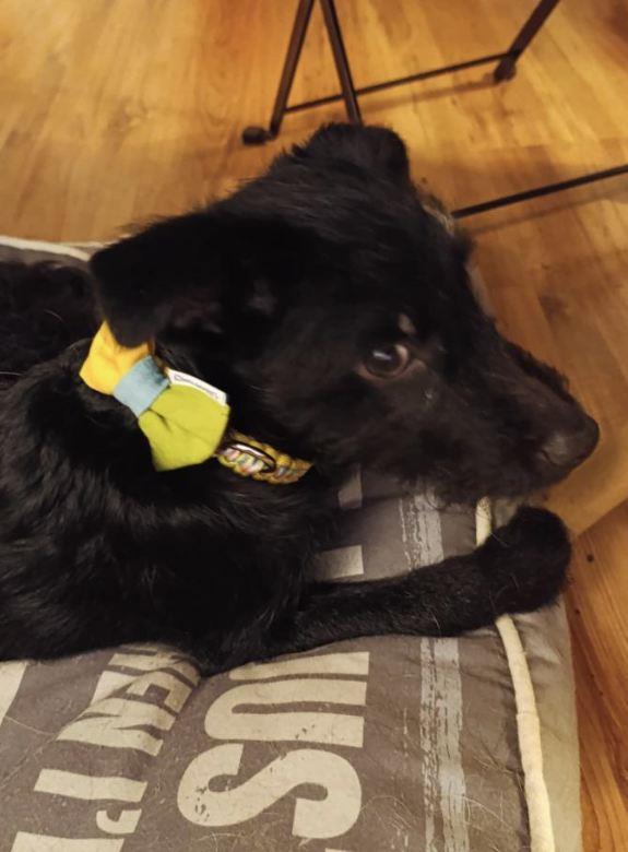 2025-07-09 10_43_09-Пријемно сандуче • Ћаскања.jpg