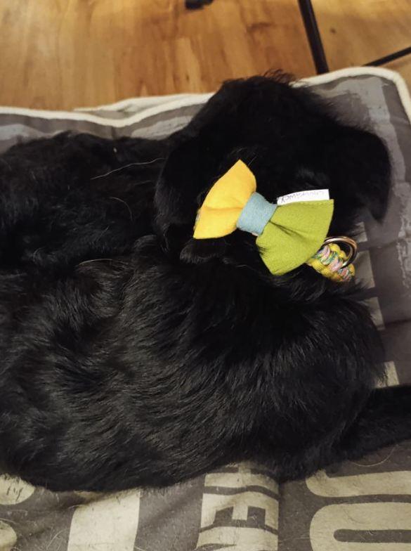 2025-07-09 10_43_14-Пријемно сандуче • Ћаскања.jpg