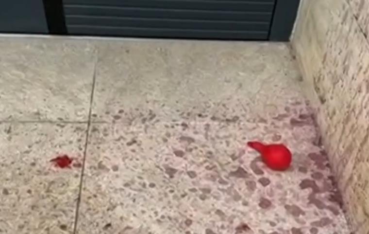 2025-07-09 13_44_11-EON - Kanali.png