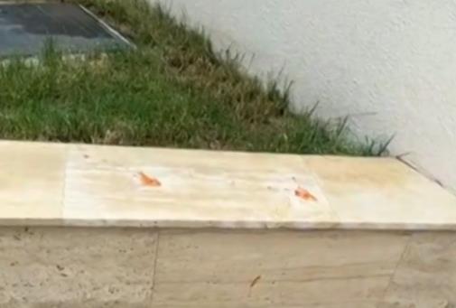 2025-07-09 13_44_05-EON - Kanali.png