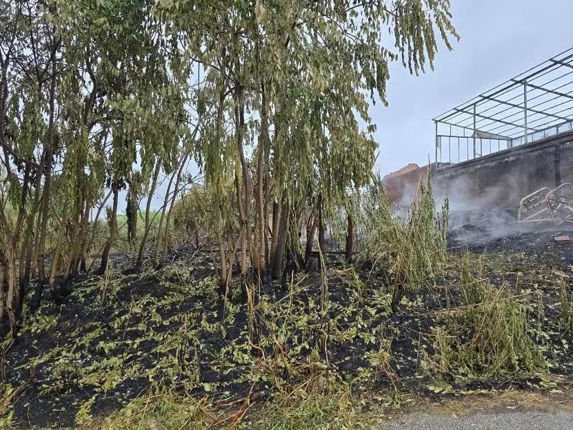 Info služba Grada Kragujevca (5).png