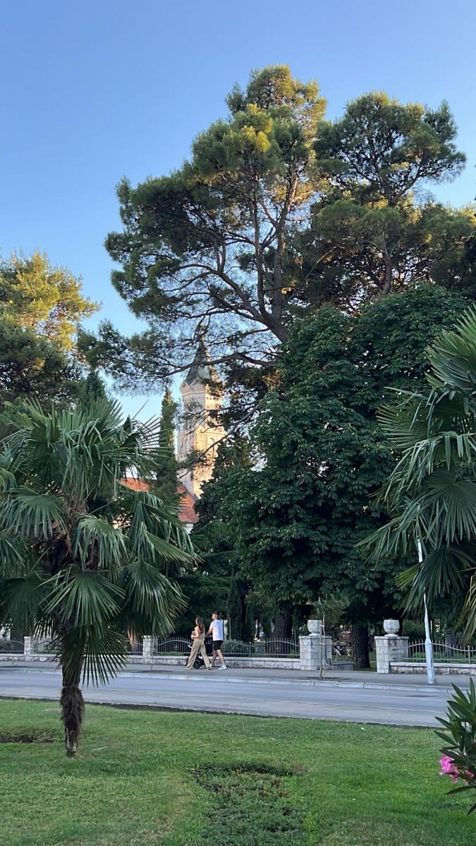 WhatsApp Image 2025-07-09 at 2.50.19 PM (1).jpeg