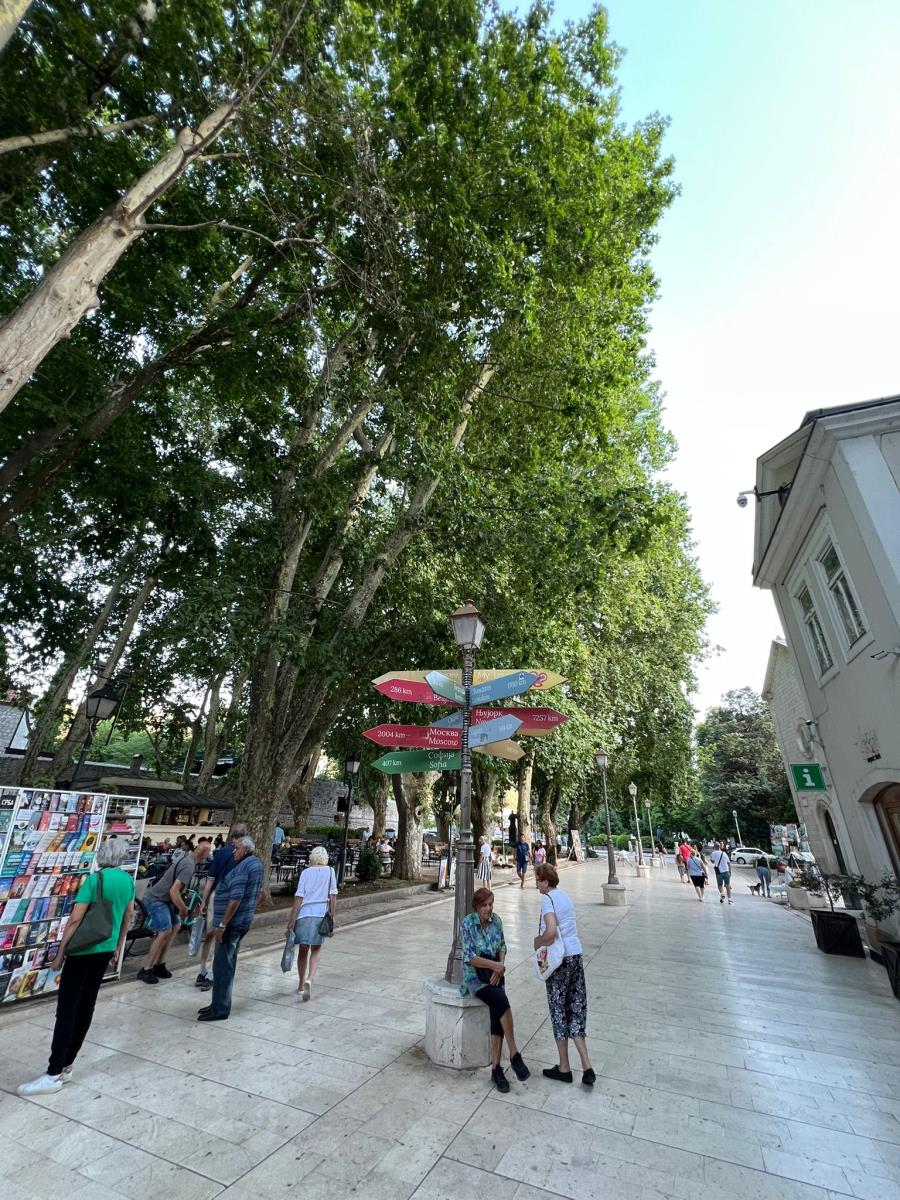 WhatsApp Image 2025-07-09 at 2.50.18 PM.jpeg