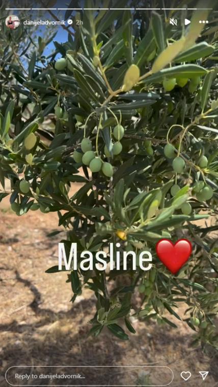 Imanje Danijele Dvornik