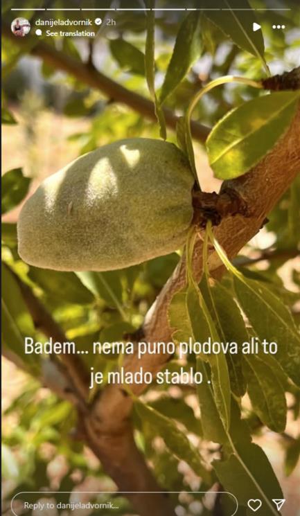 Screenshot 2025-07-09 165458.png