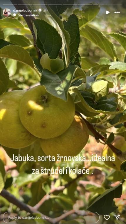 Screenshot 2025-07-09 165446.png