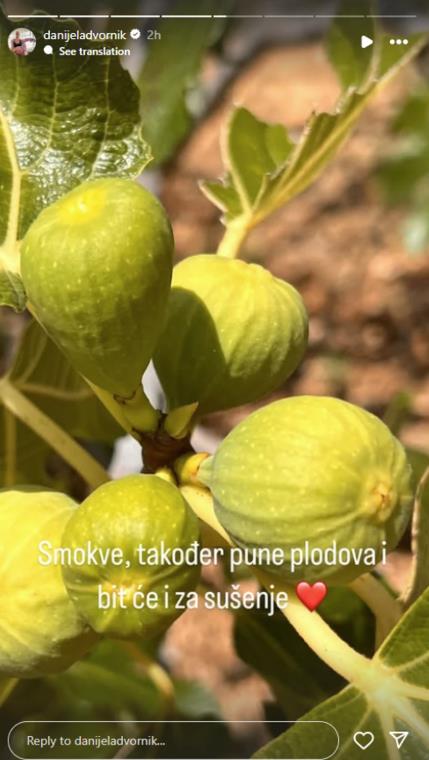 Screenshot 2025-07-09 165440.png