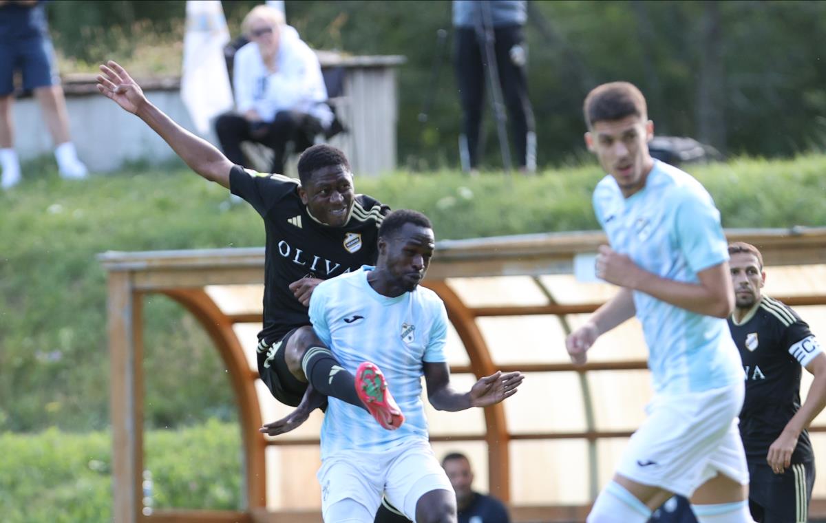 08083 Foto M Rasic.JPG