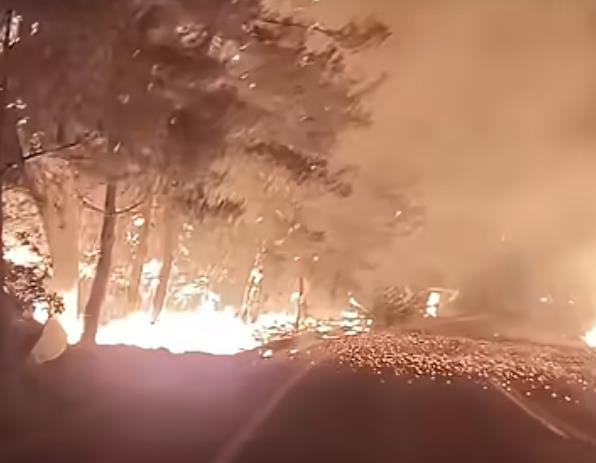 2025-07-10 07_38_47-Veliki požar na Tasosu_ Turisti beže u kolonama, evakuisan hotel - Blic — Mozill.png