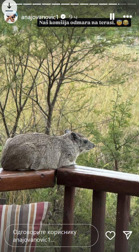 2025-07-10 08_24_42-Приче • Instagram.jpg