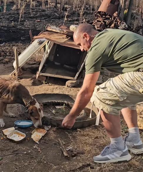 požar Žitorađa 1.png