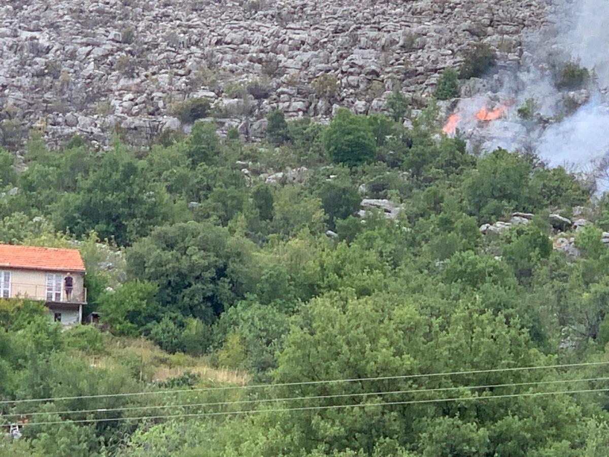 WhatsApp Image 2025-07-10 at 4.56.26 PM.jpeg