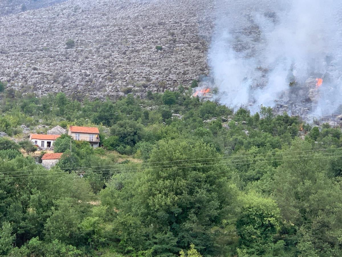 WhatsApp Image 2025-07-10 at 4.56.25 PM.jpeg