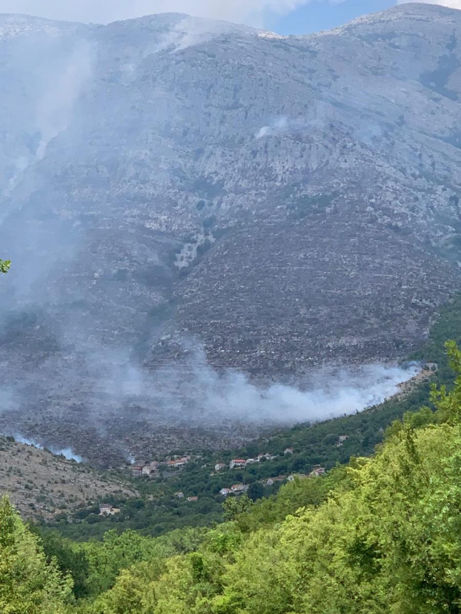 WhatsApp Image 2025-07-10 at 4.56.22 PM.jpeg