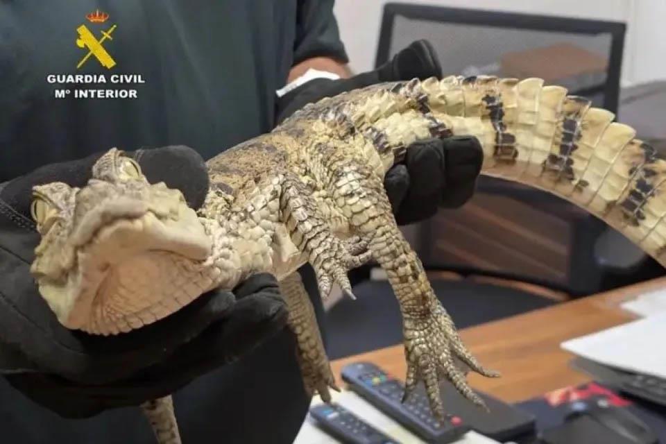 say-totally-irresponsible-thing-many-1009364849 copy.jpg