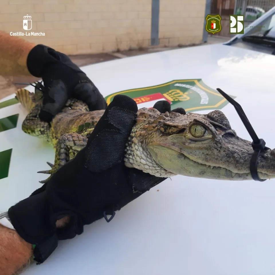 say-totally-irresponsible-thing-many-1009364848 copy.jpg