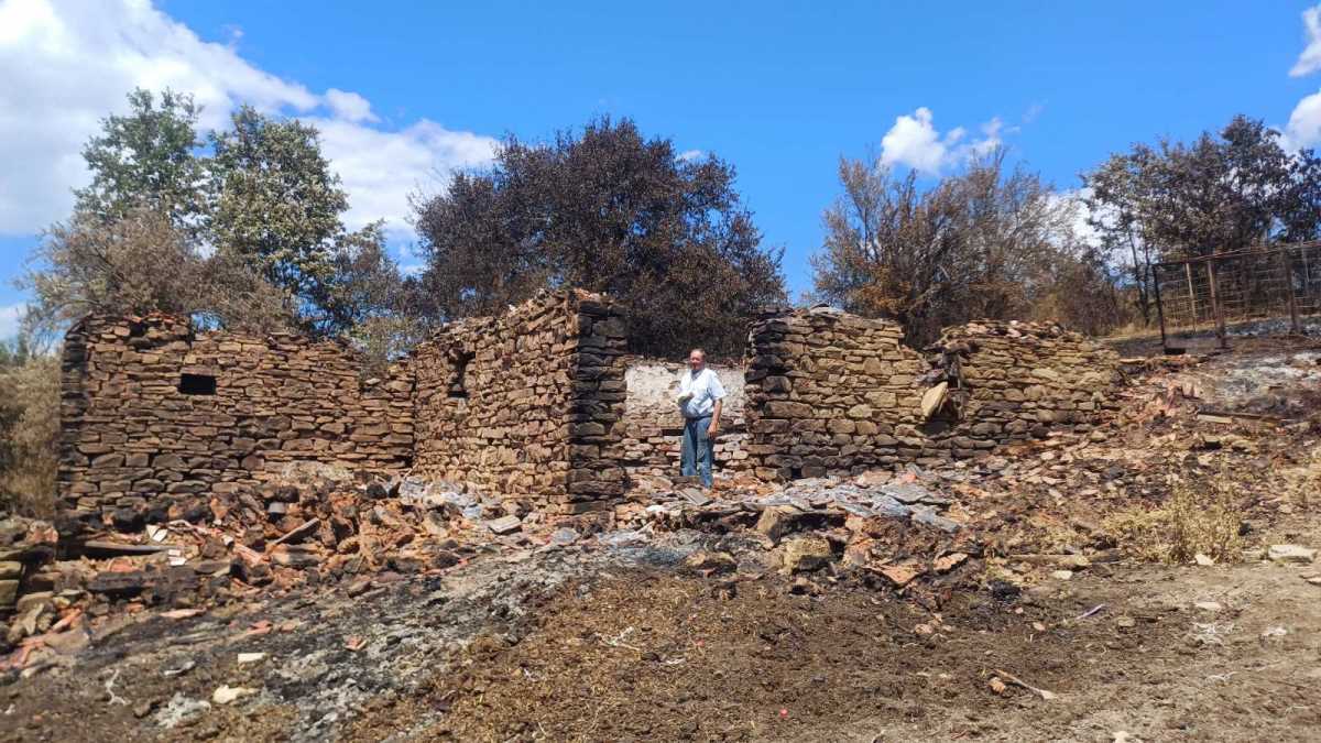 tmava vucina 4 bolja.jpg