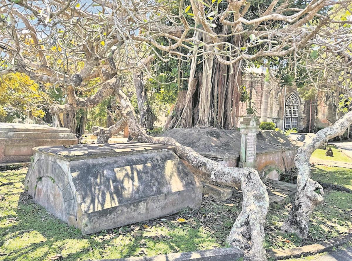 Screenshot 2025-07-13 150743 copy.jpg