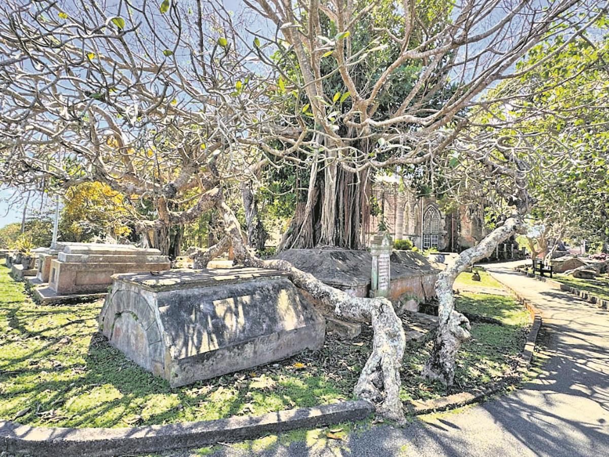 Screenshot 2025-07-13 150801 copy.jpg