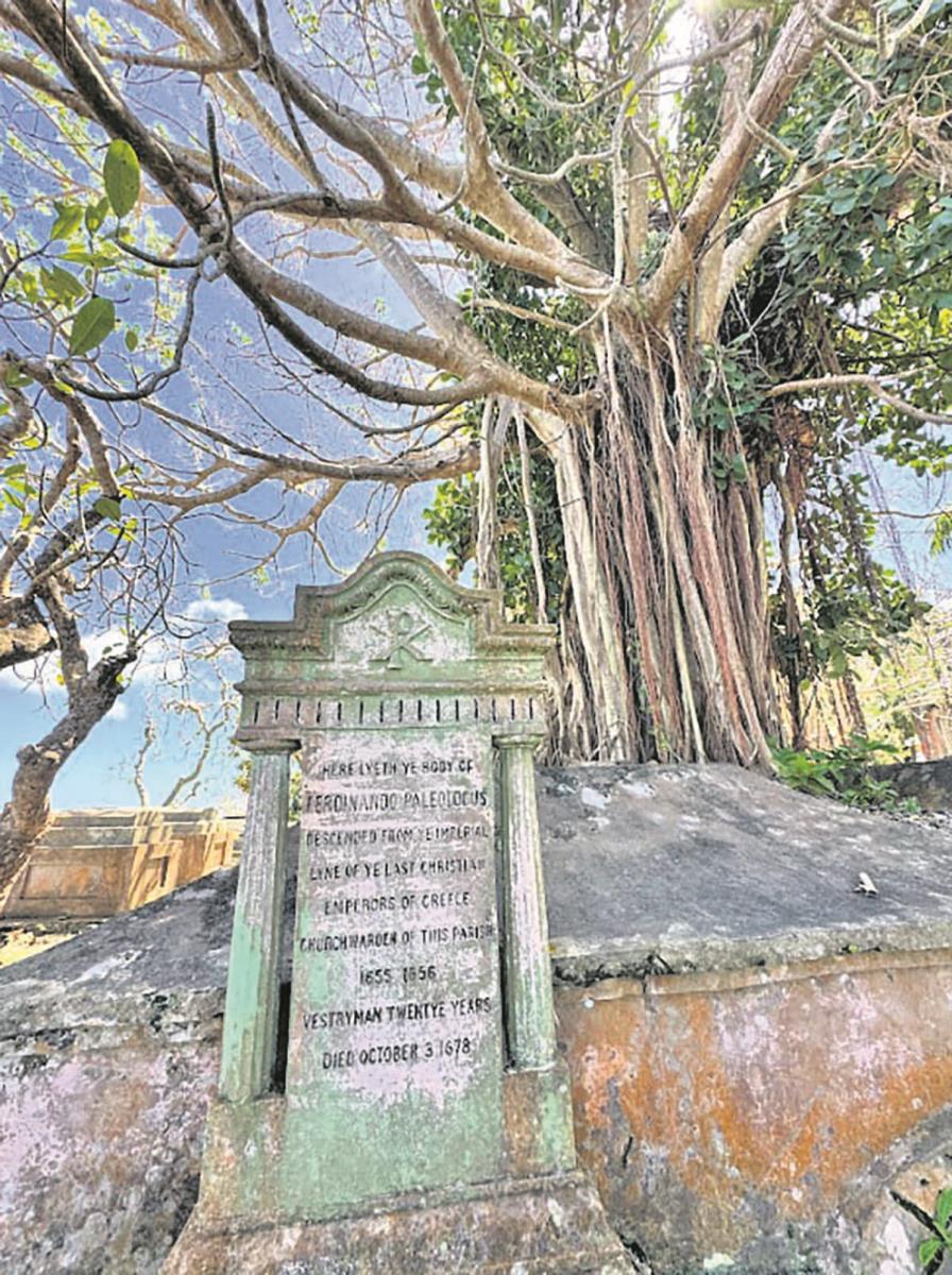 Screenshot 2025-07-13 150839 copy.jpg