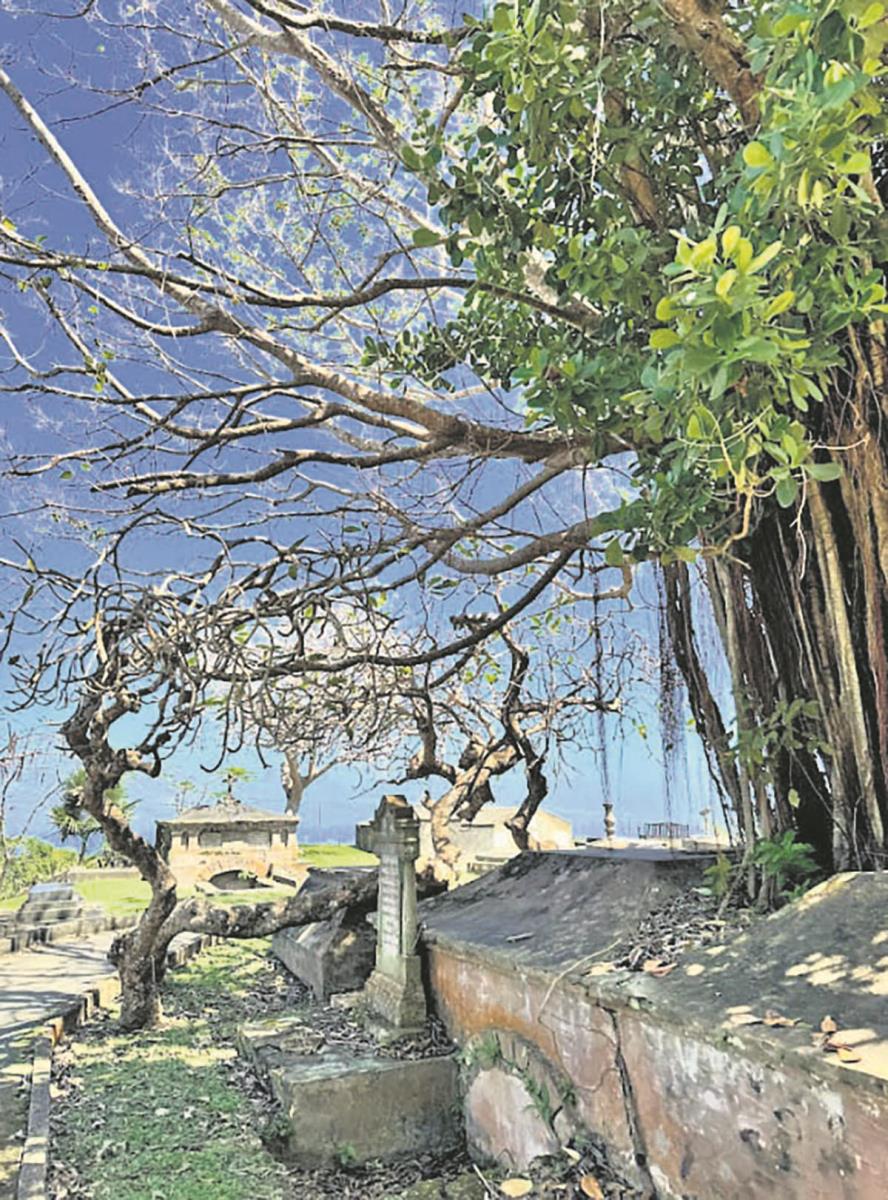 Screenshot 2025-07-13 150958 copy.jpg