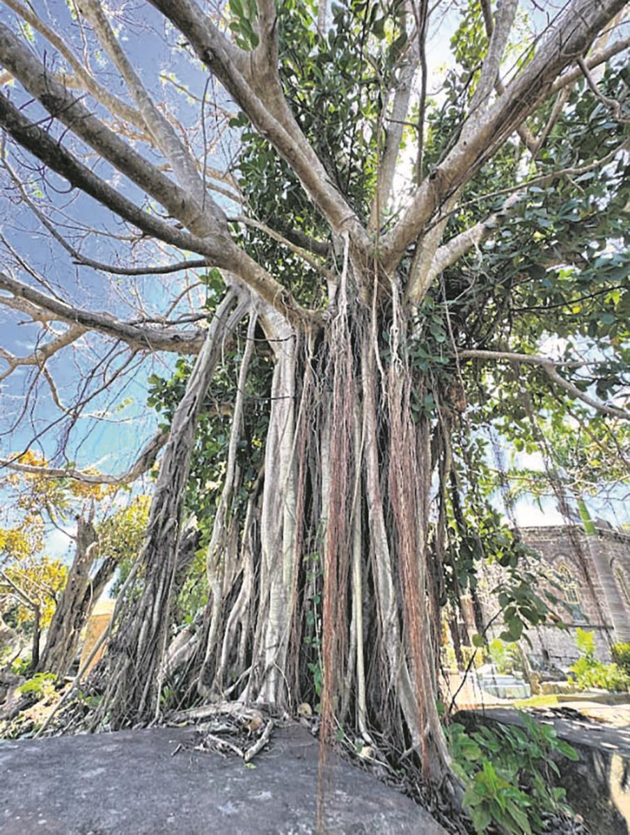 Screenshot 2025-07-13 151027 copy.jpg