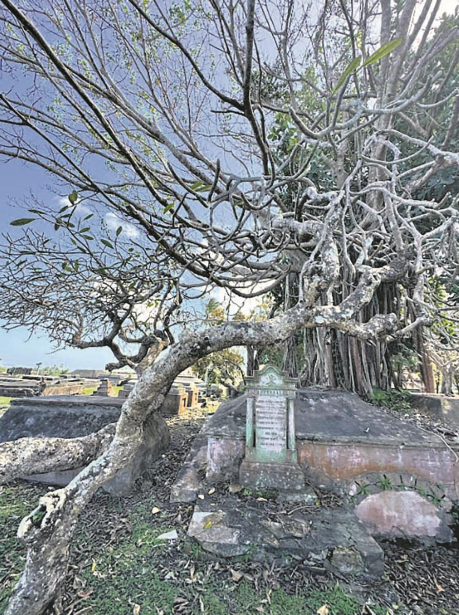 Screenshot 2025-07-13 151042 copy.jpg