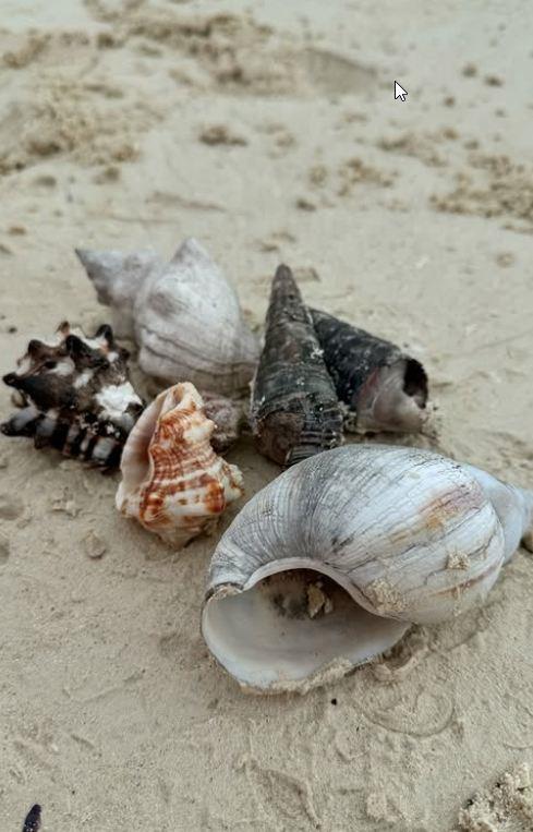 2025-07-15 07_33_26-Instagram.jpg