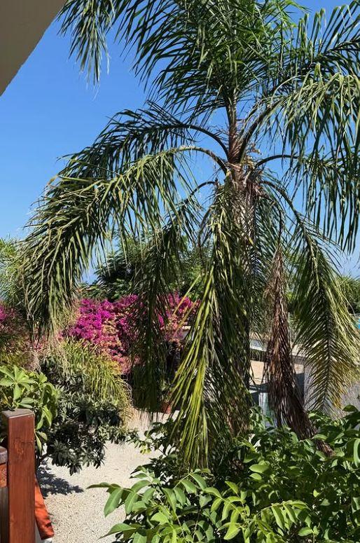 2025-07-15 08_10_35-(1) Instagram.jpg