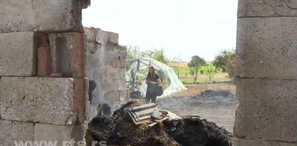 Požari kod Bora 3.jpg