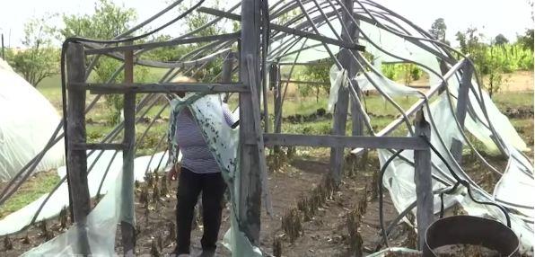 Požari kod Bora 5.jpg