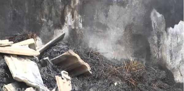 Požari kod Bora 6.jpg