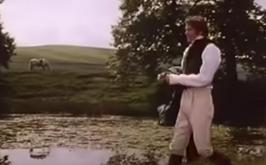 gordost i predrasude gospodin darsi.png