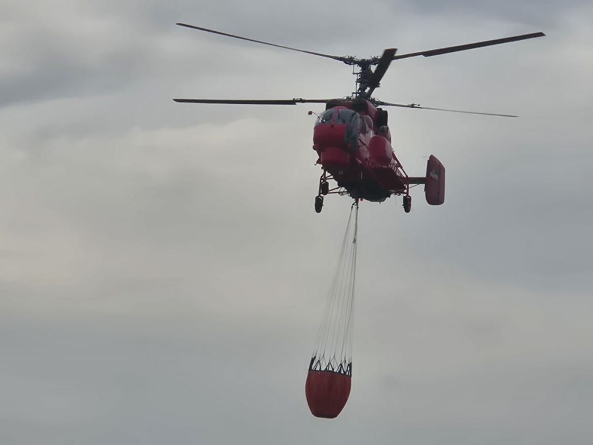 0801 foto branko popratnjak.jpg