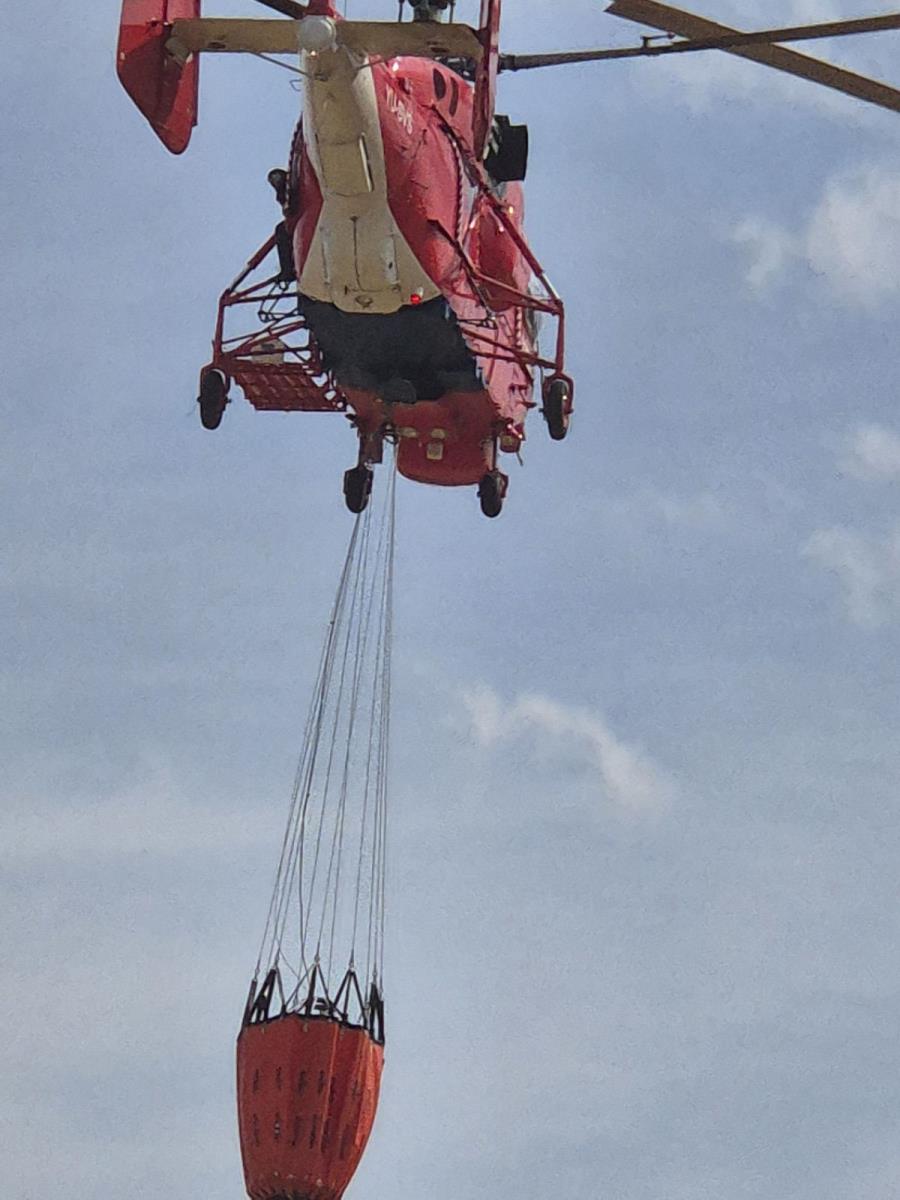 0801 foto branko popratnjak_3.jpg