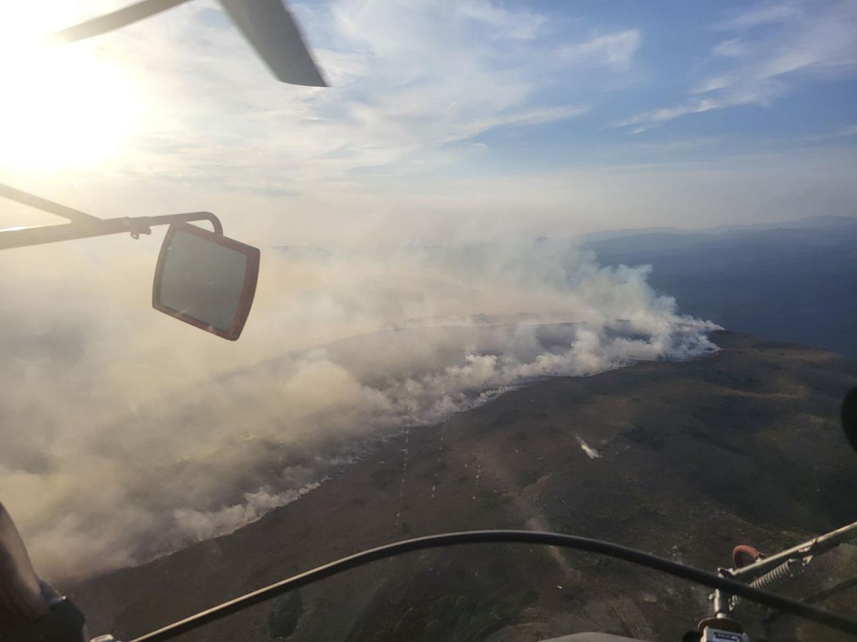 0801 foto branko popratnjak_14.jpg