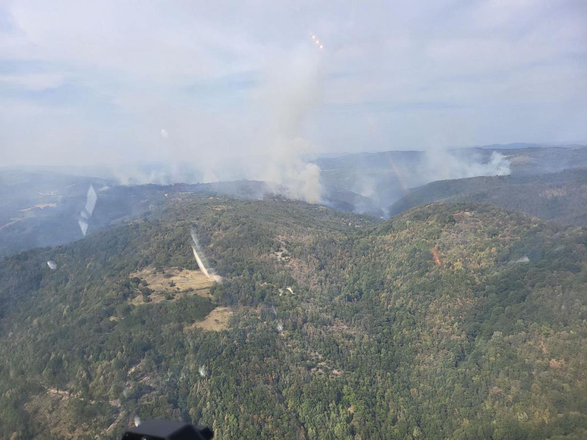 0801 foto branko popratnjak_15.jpg