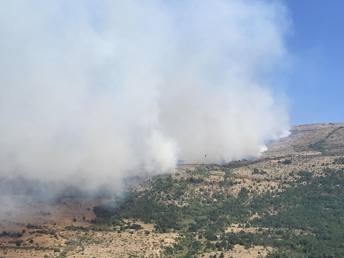 0801 foto branko popratnjak_16.jpg