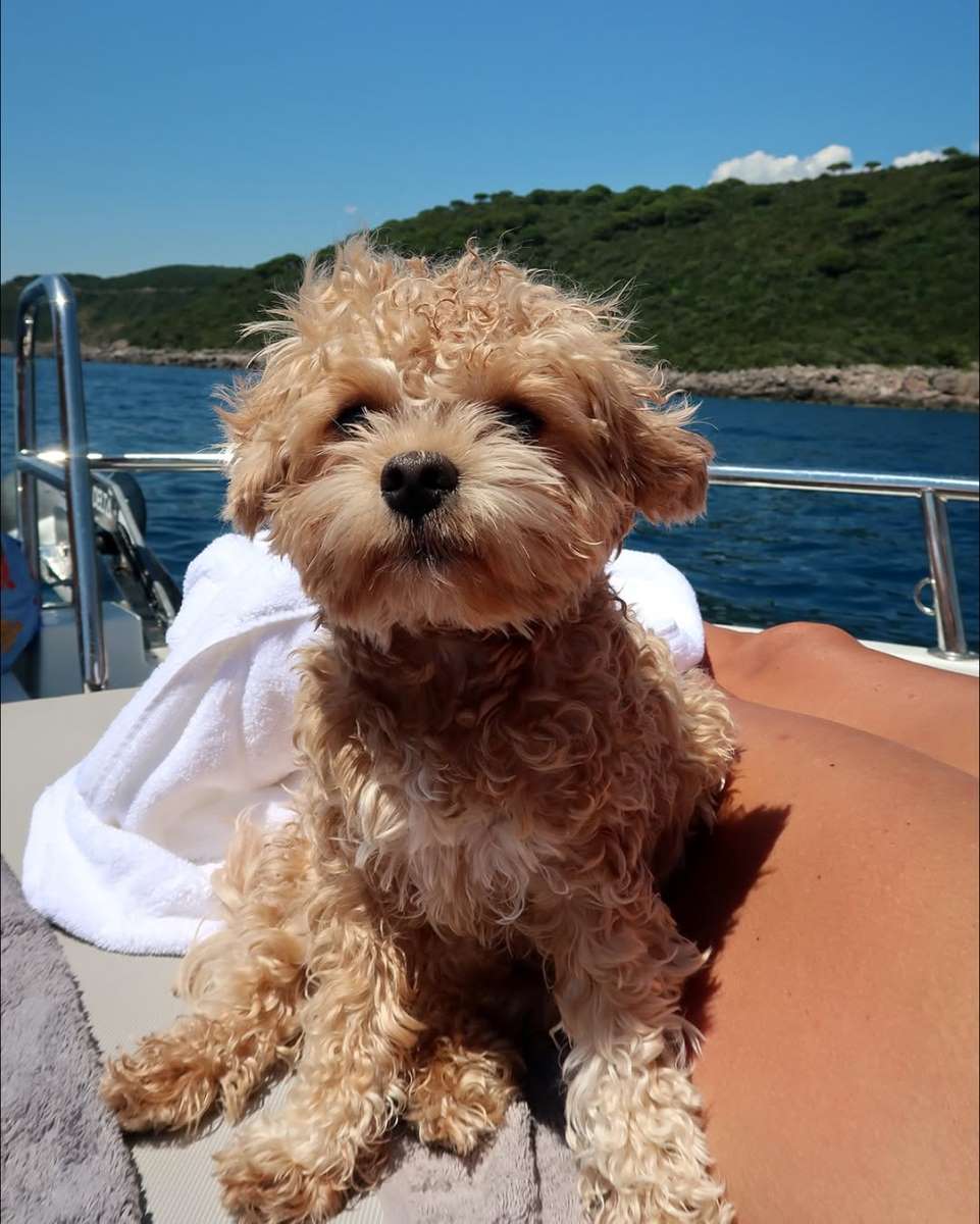 Marta Kostjuk i njen pas na odmoru u Crnoj Gori